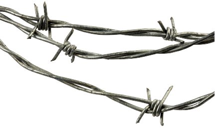Barb Wire