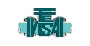 TE VISA