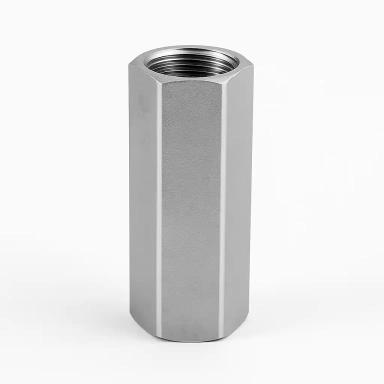 SS check valve